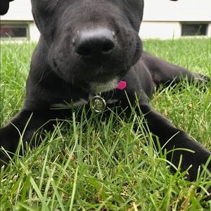 Meet your Posher, Kerry